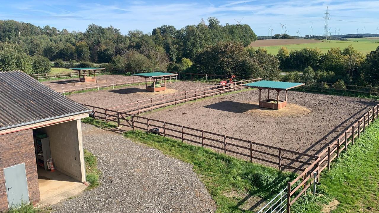 Отель Equi-Art Reitanlage Schwall Экстерьер фото
