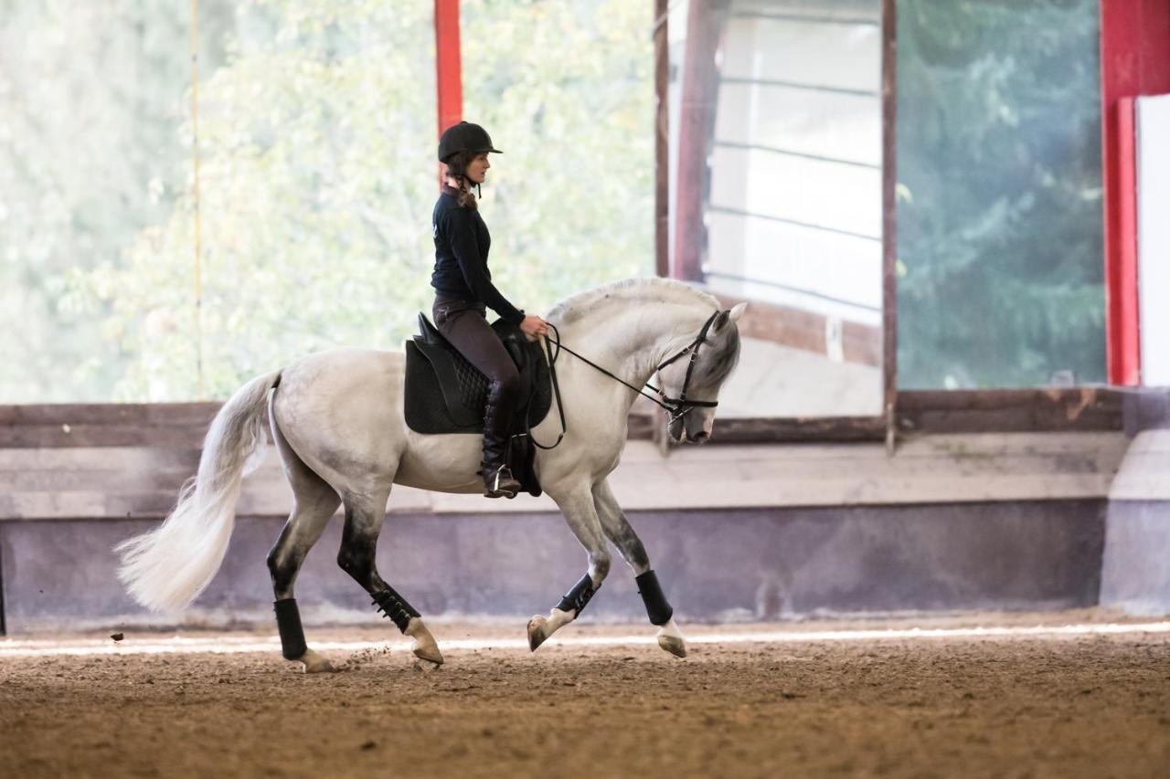 Отель Equi-Art Reitanlage Schwall Экстерьер фото