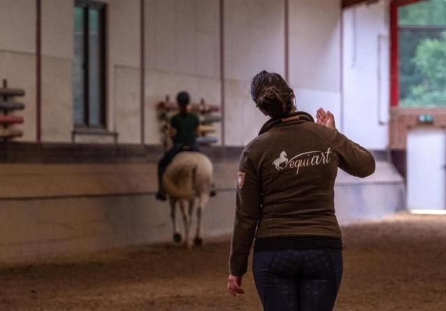 Отель Equi-Art Reitanlage Schwall Экстерьер фото